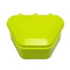 Denture Storage Box - New Age Lime