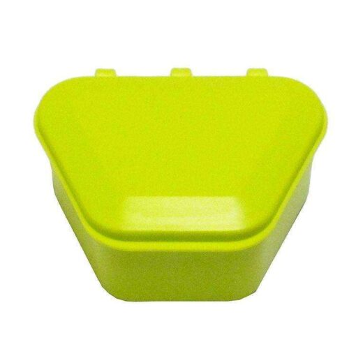 Denture Storage Box - New Age Lime
