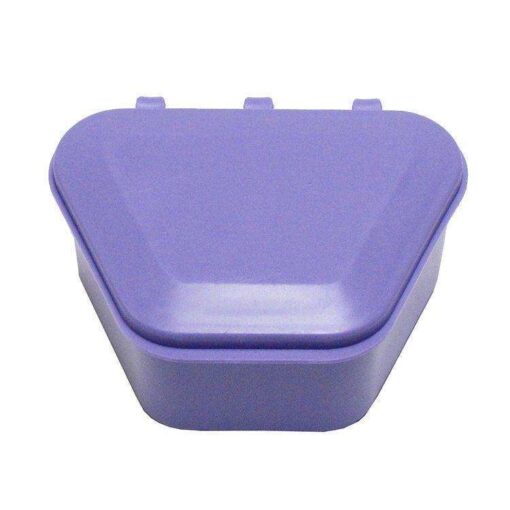 Denture Storage Box - New Age Lavender