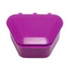 Denture Storage Box - New Age Purple
