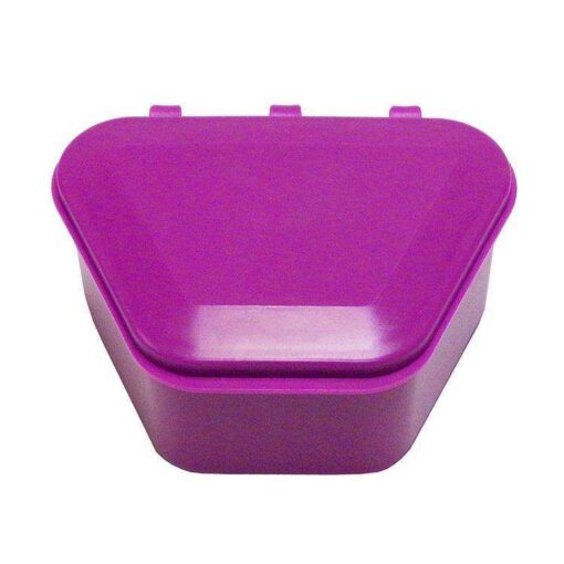 Denture Storage Box - New Age Purple