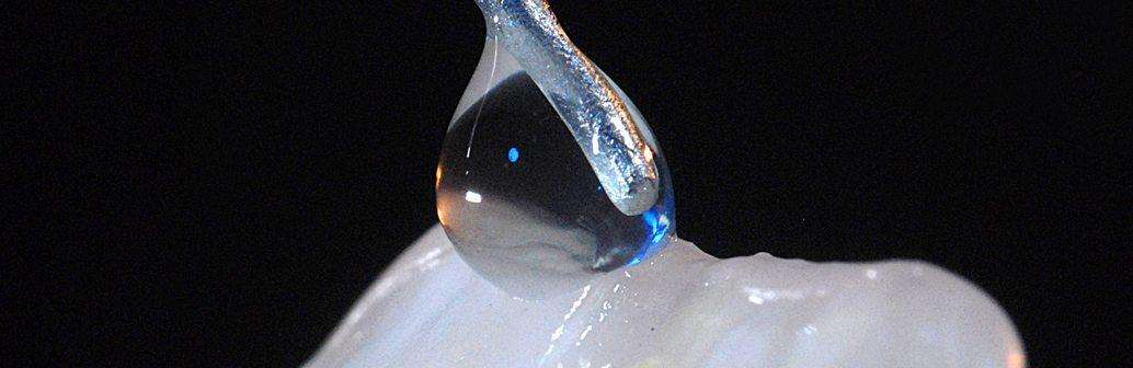 Product Category: Waxes