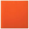 Mouthguard Resin Sheets - Orange
